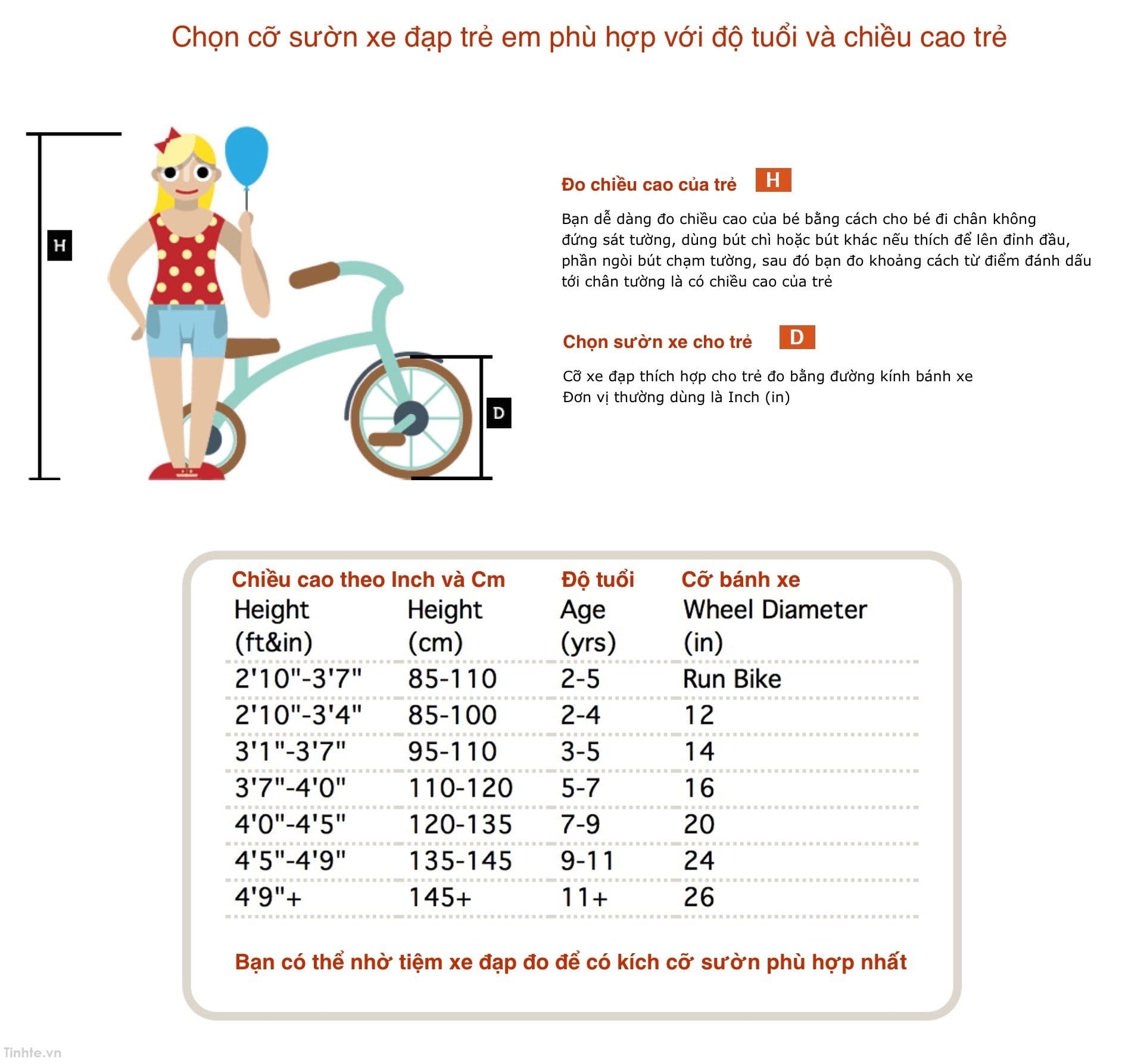 Video Hướng dẫn cách đo size xe đạp MTB phụ thuộc vào chiều cao